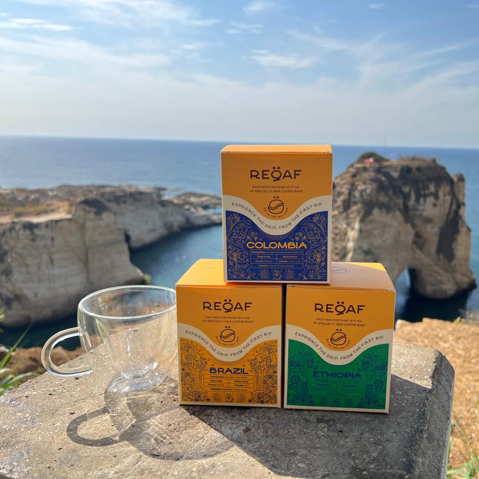 The Adventurous Trio (3 Boxes)